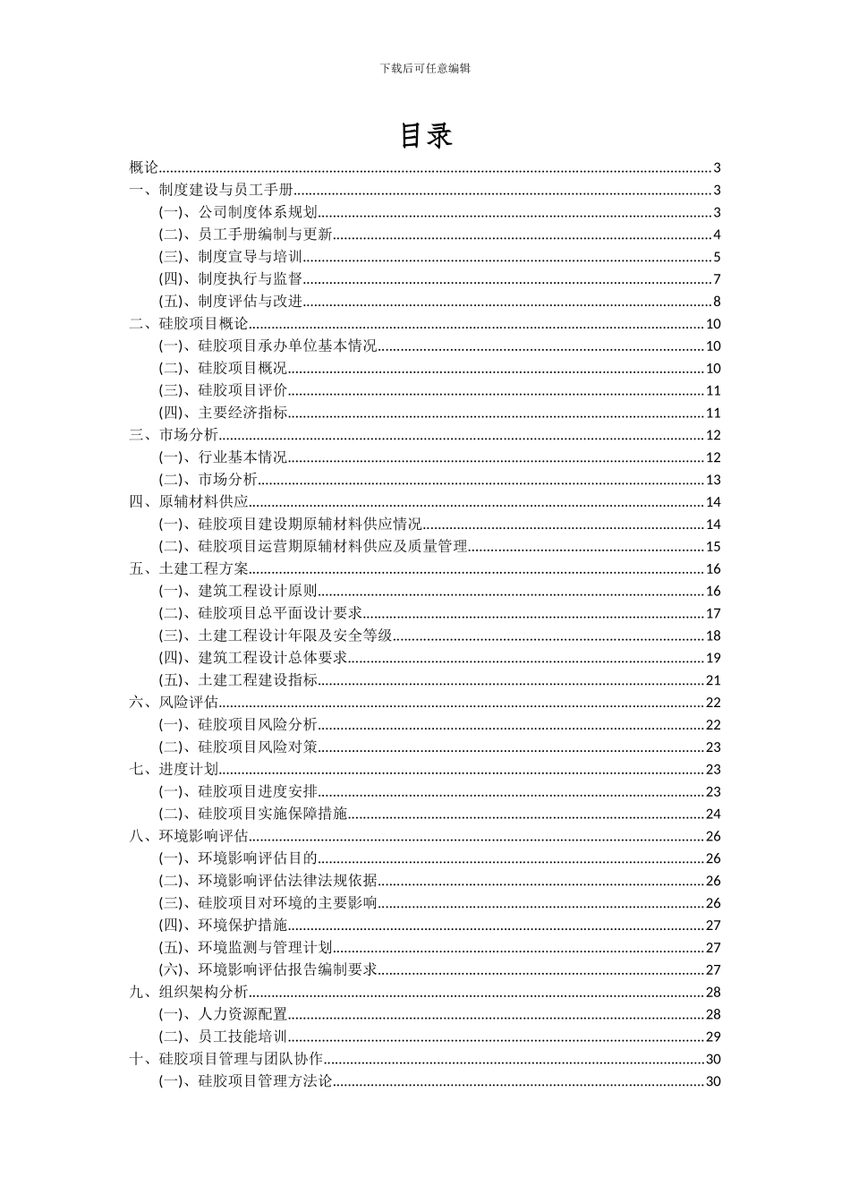 2024年硅胶项目深度研究分析报告_第2页