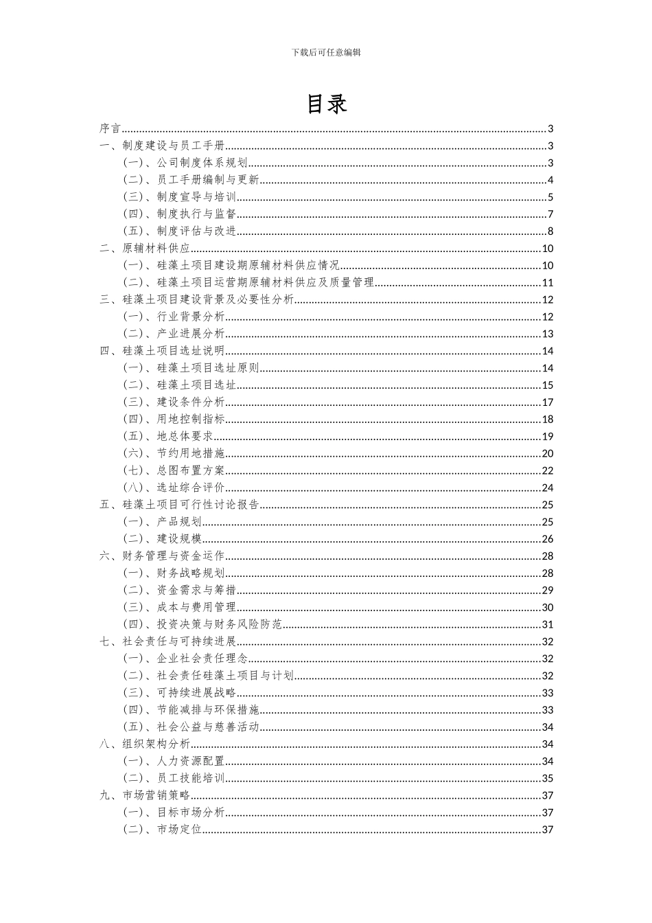 2024年硅藻土项目可行性分析报告_第2页