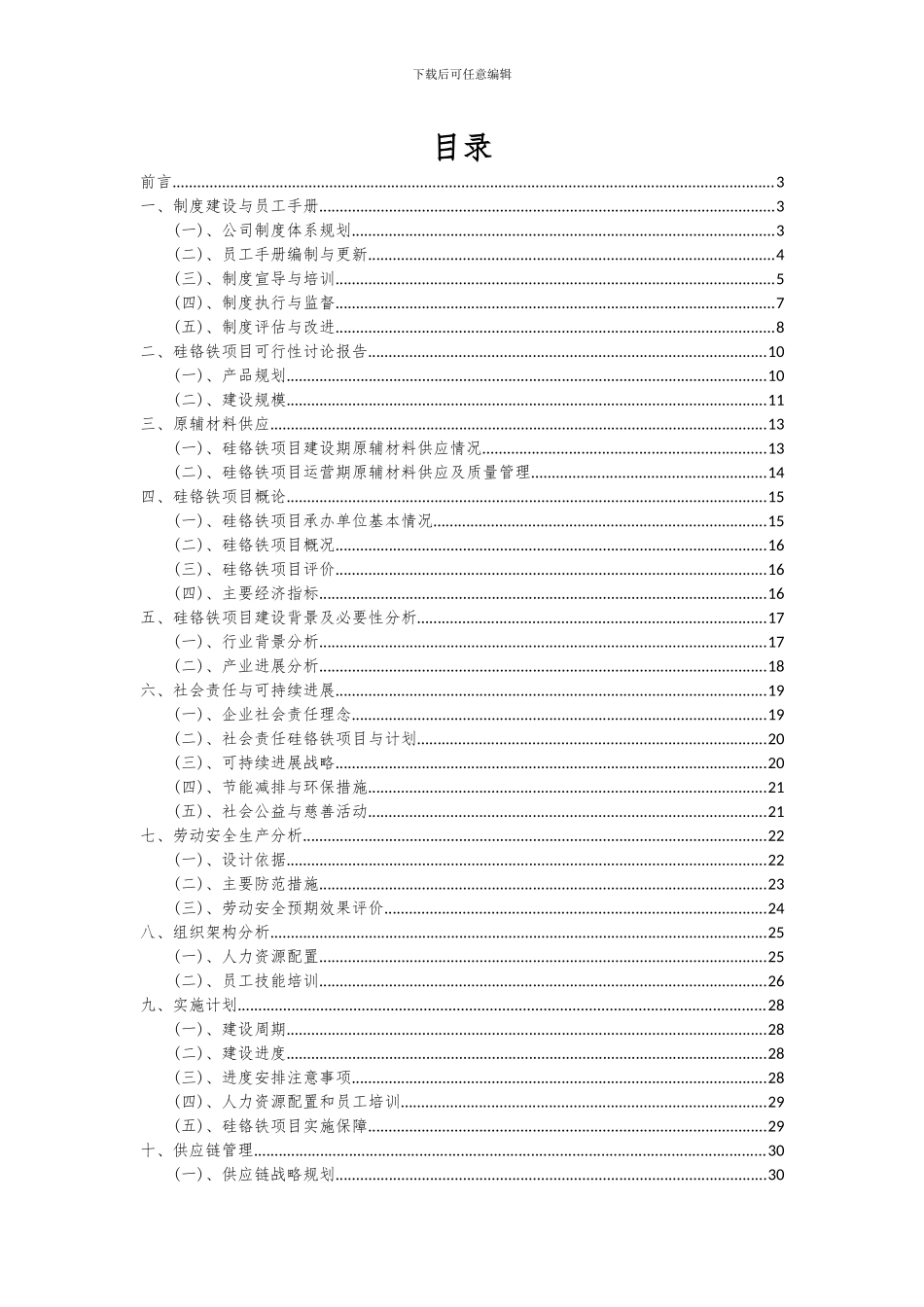 2024年硅铬铁项目可行性分析报告_第2页