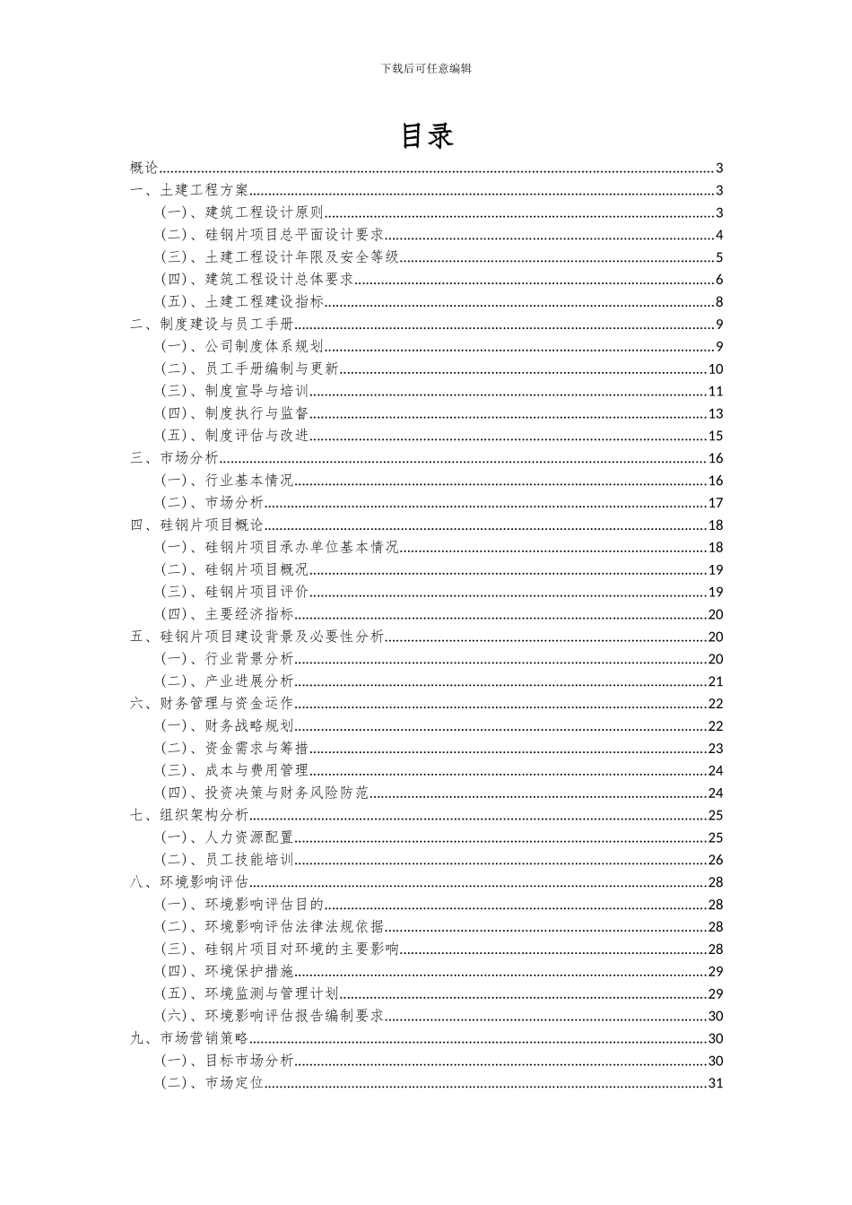 2024年硅钢片项目可行性研究报告_第2页