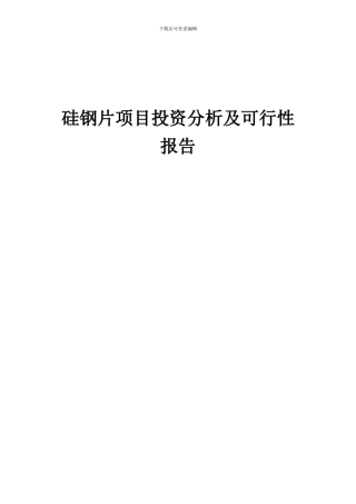 2024年硅钢片项目投资分析及可行性报告