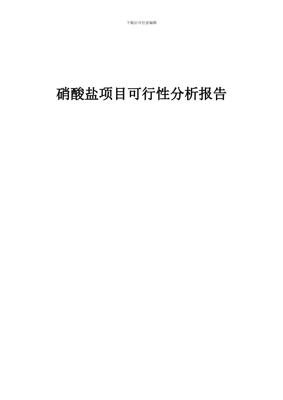 2024年硝酸盐项目可行性分析报告_第1页