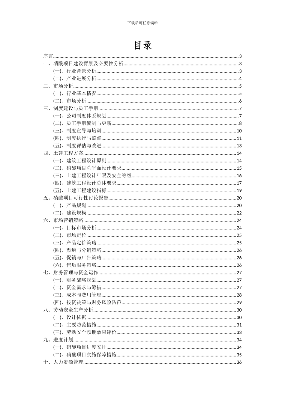 2024年硝酸项目可行性分析报告_第2页