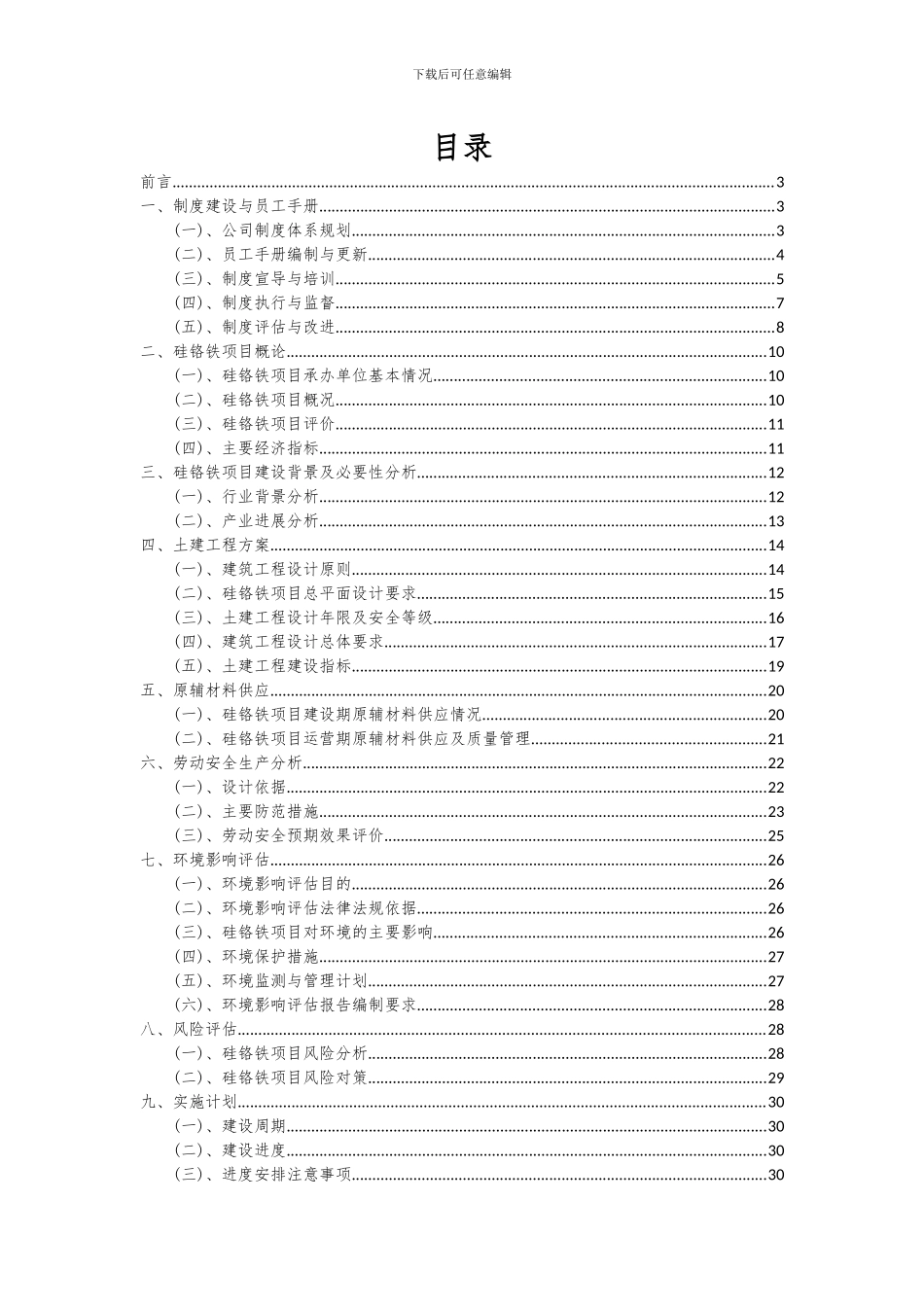 2024年硅铬铁项目深度研究分析报告_第2页