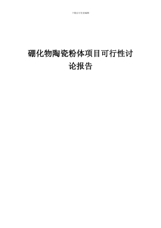 2024年硼化物陶瓷粉体项目可行性研究报告