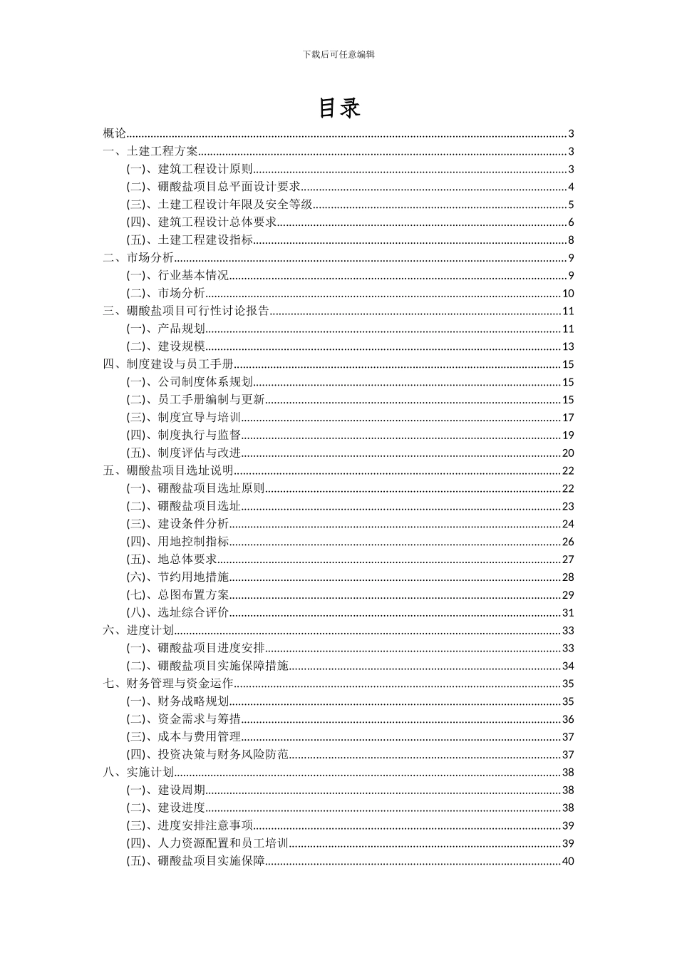 2024年硼酸盐项目可行性分析报告_第2页