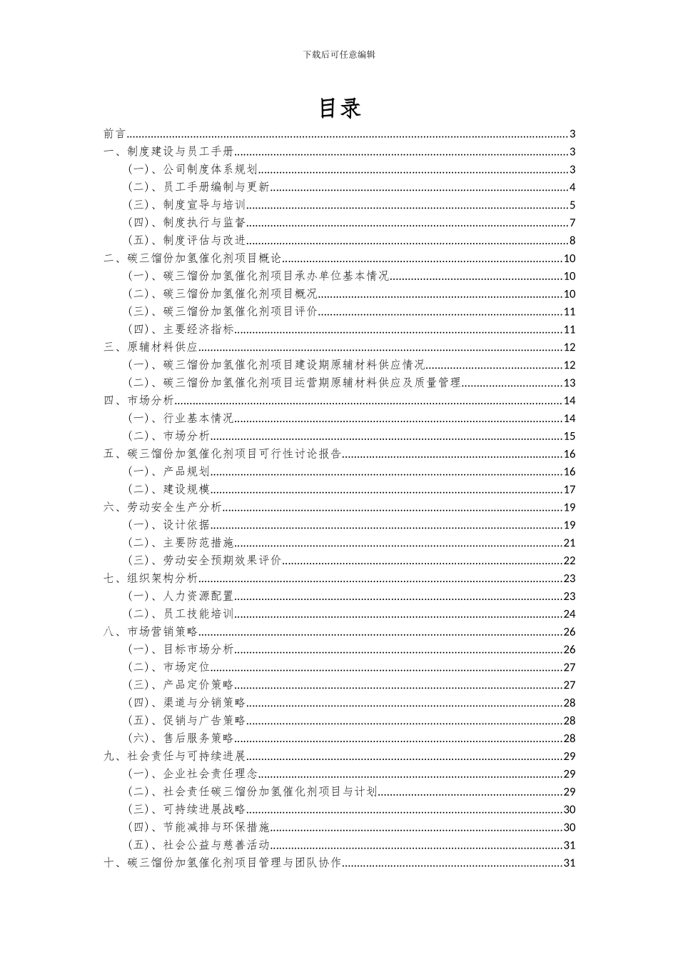 2024年碳三馏份加氢催化剂项目可行性研究报告_第2页