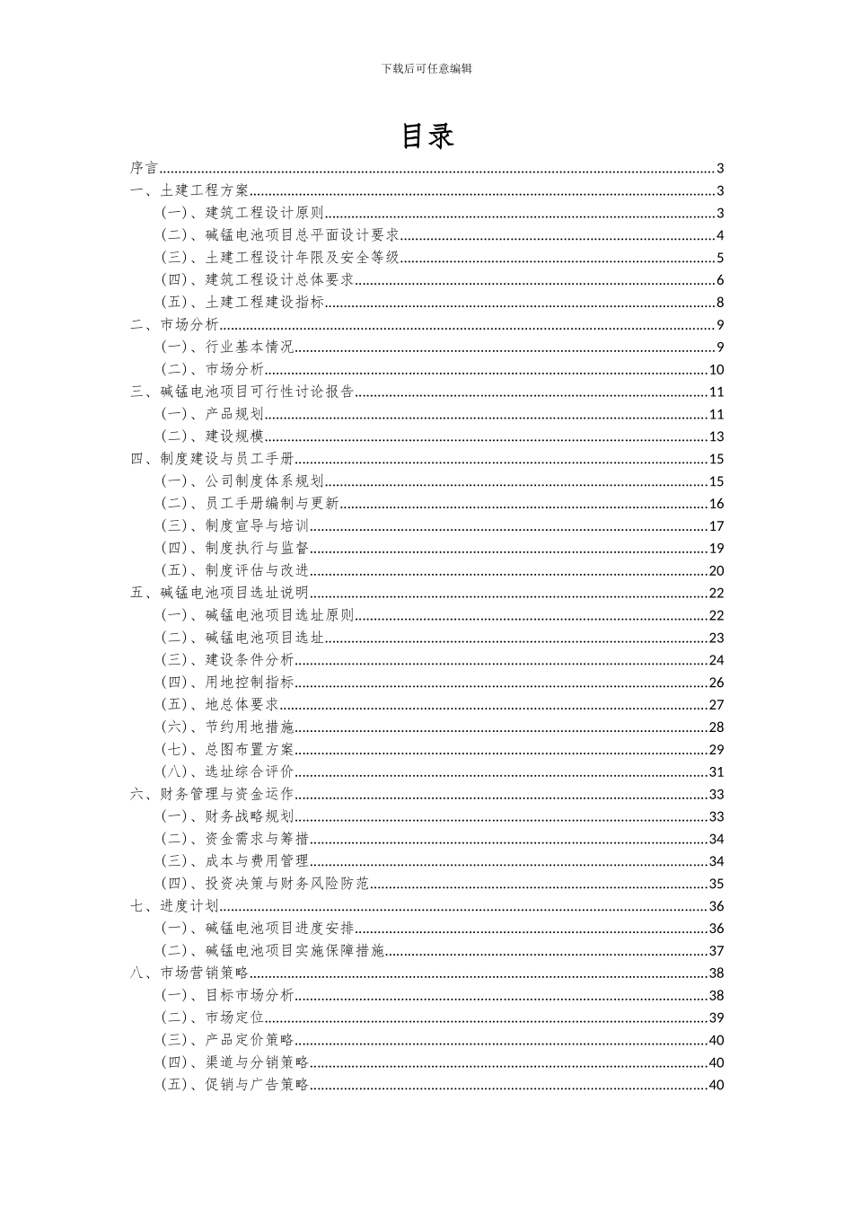 2024年碱锰电池项目深度研究分析报告_第2页