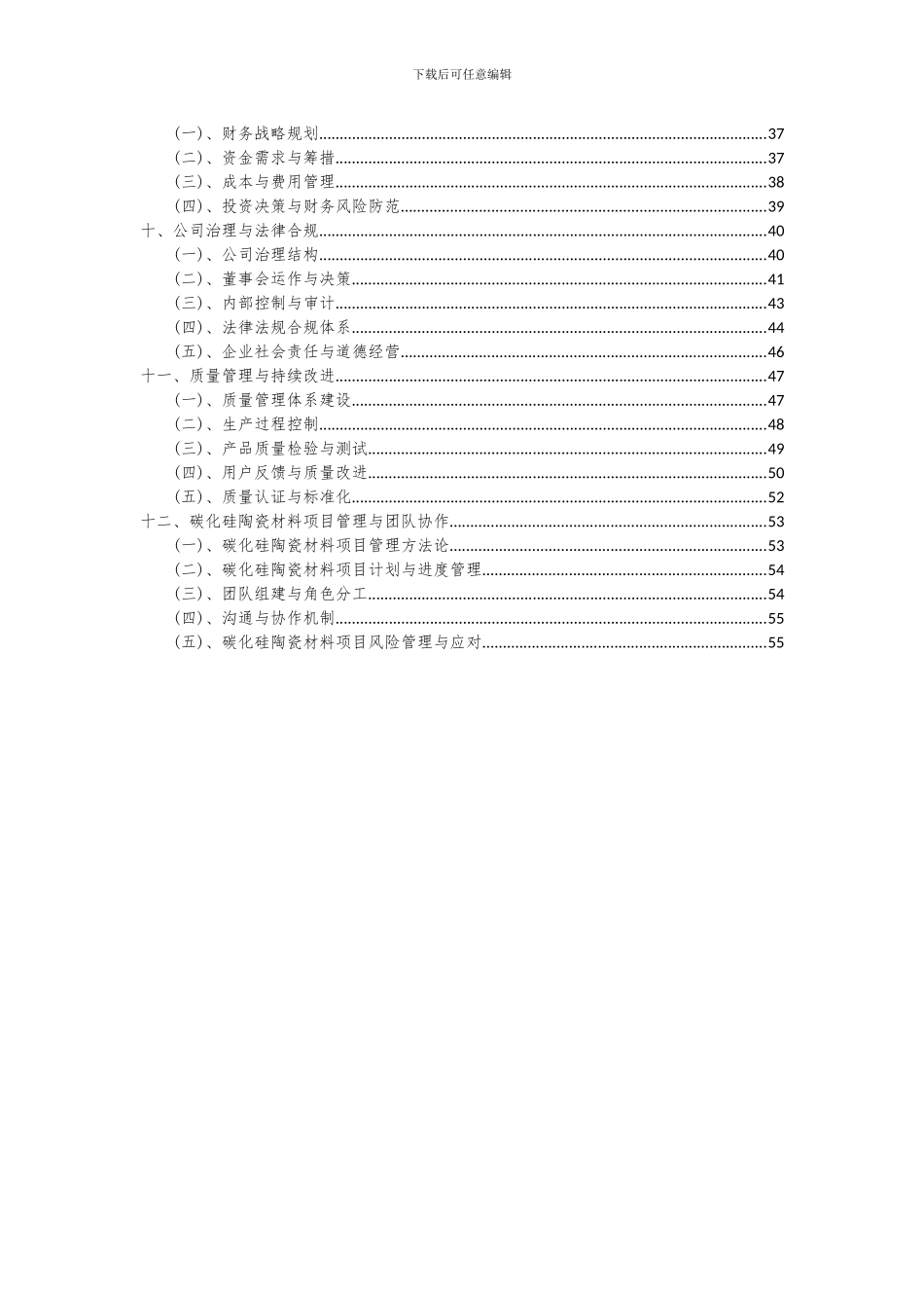 2024年碳化硅陶瓷材料项目可行性研究报告_第3页