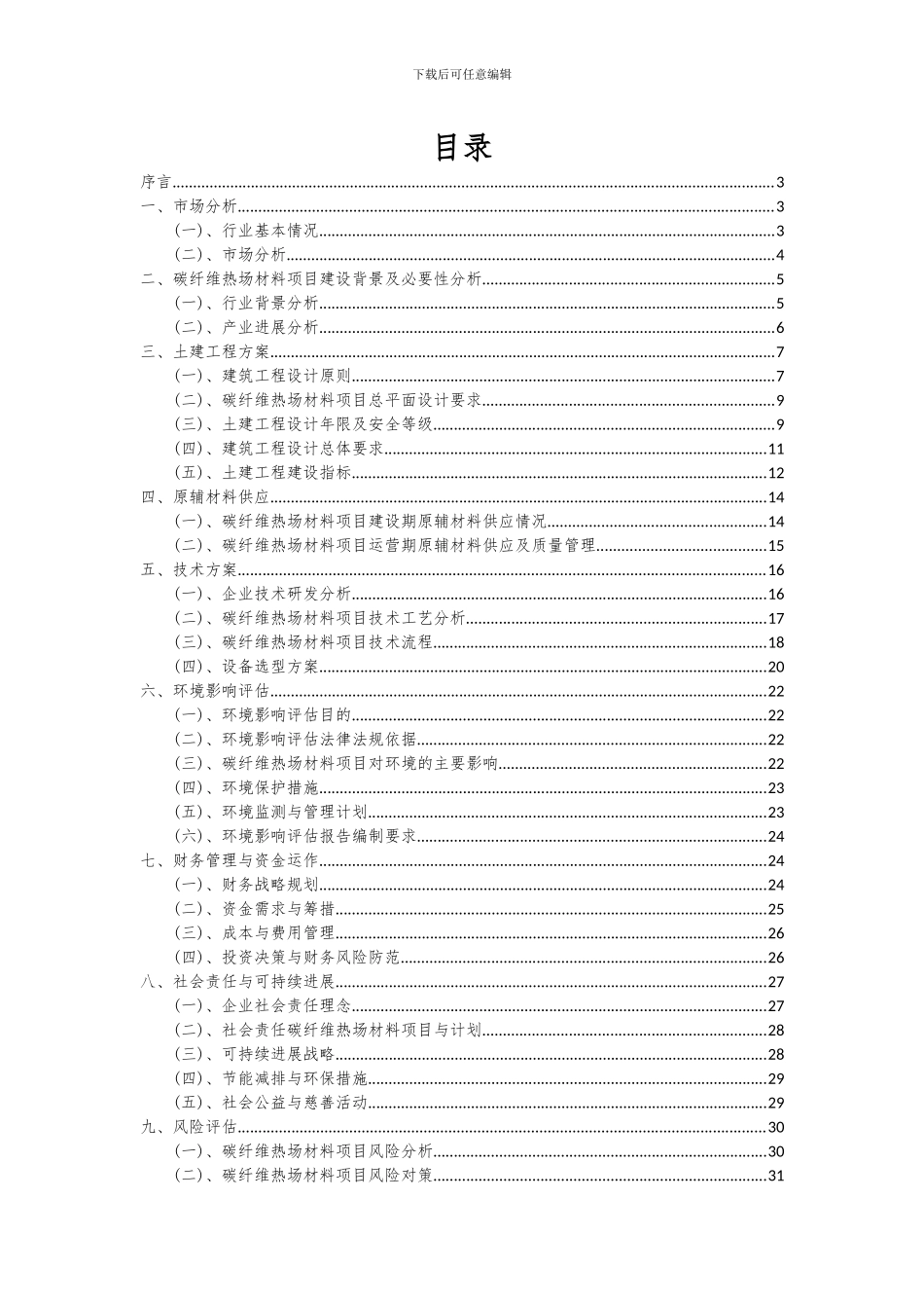 2024年碳纤维热场材料项目可行性分析报告_第2页
