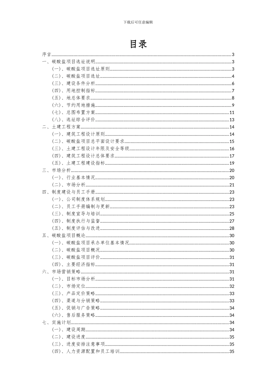 2024年碳酸盐项目可行性研究报告_第2页
