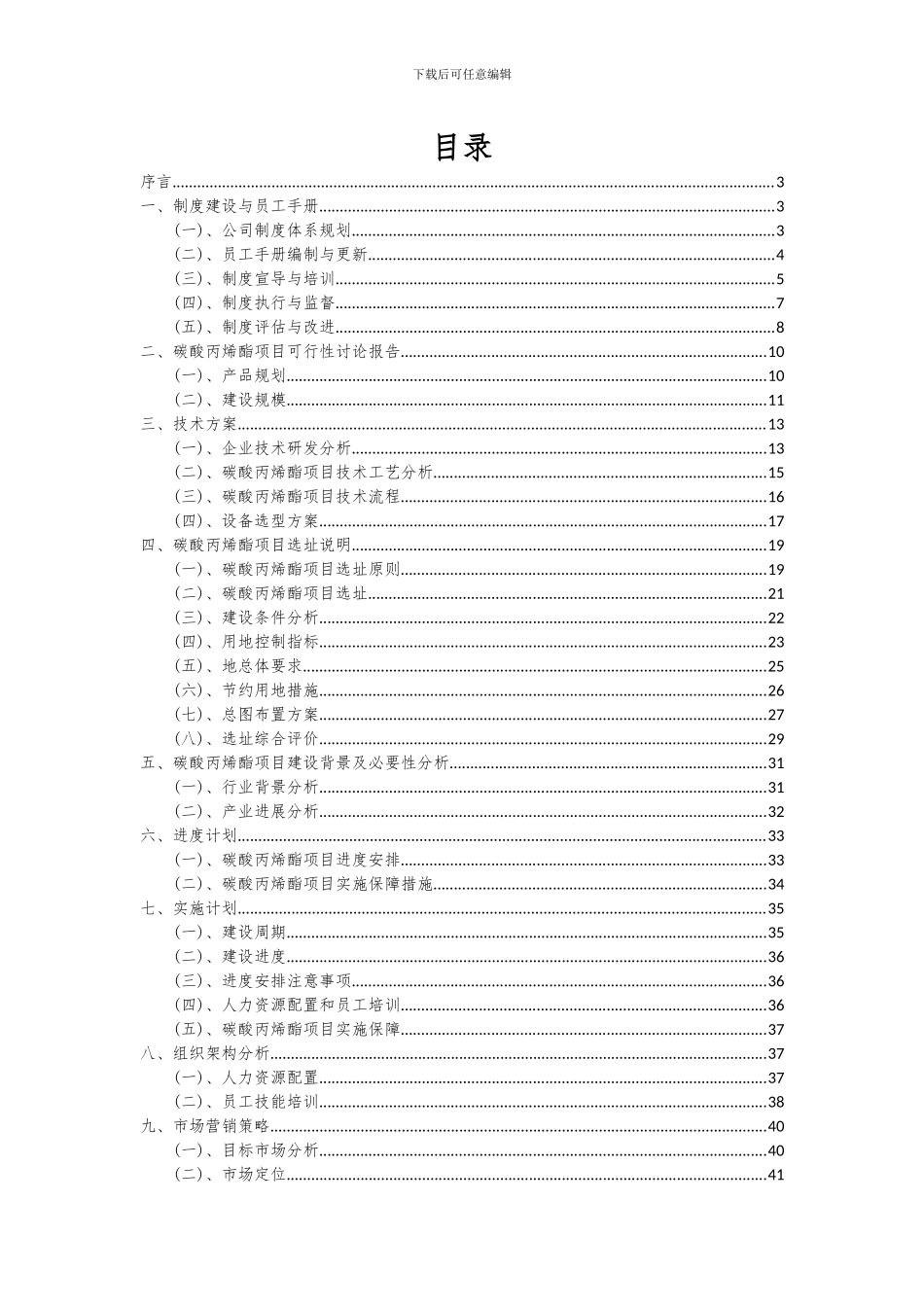 2024年碳酸丙烯酯项目可行性分析报告_第2页