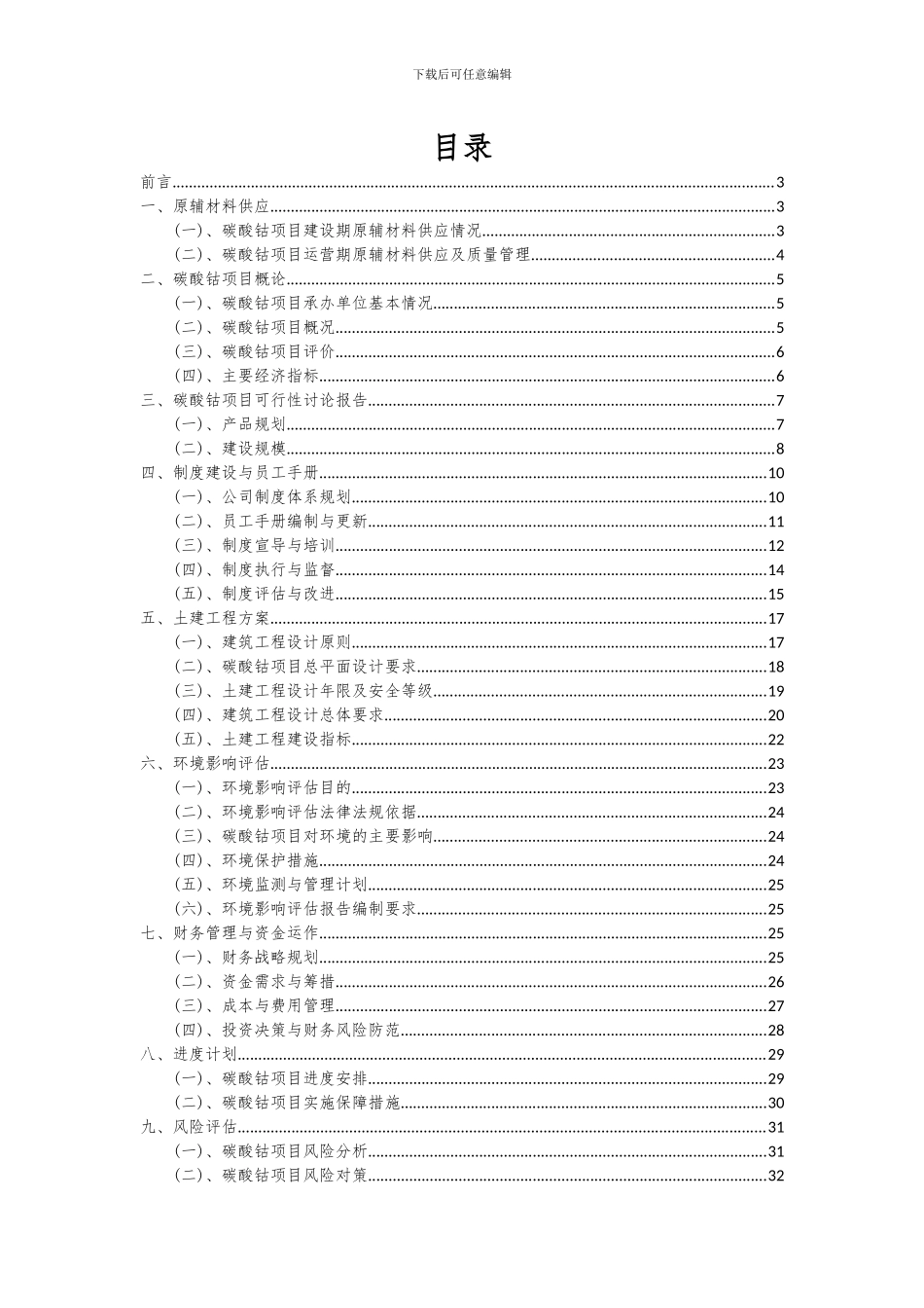 2024年碳酸钴项目可行性研究报告_第2页