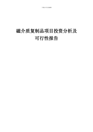 2024年磁介质复制品项目投资分析及可行性报告