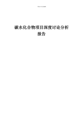 2024年碳水化合物项目深度研究分析报告