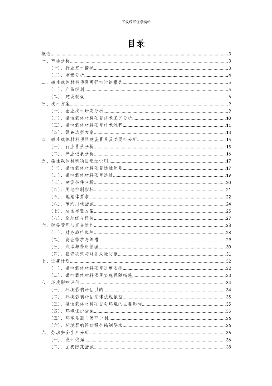 2024年磁性载体材料项目可行性研究报告_第2页
