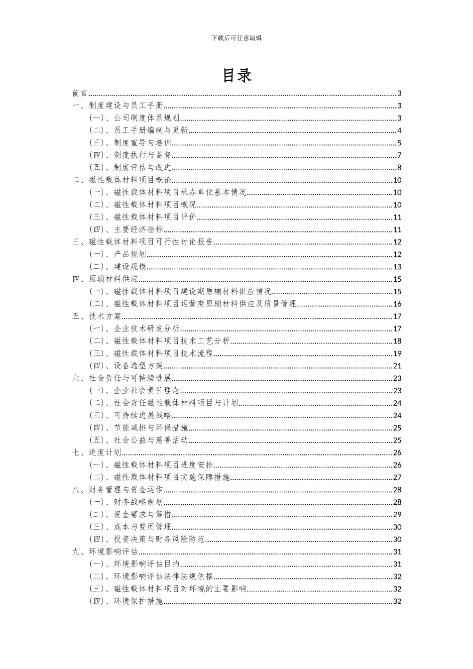 2024年磁性载体材料项目可行性分析报告_第2页