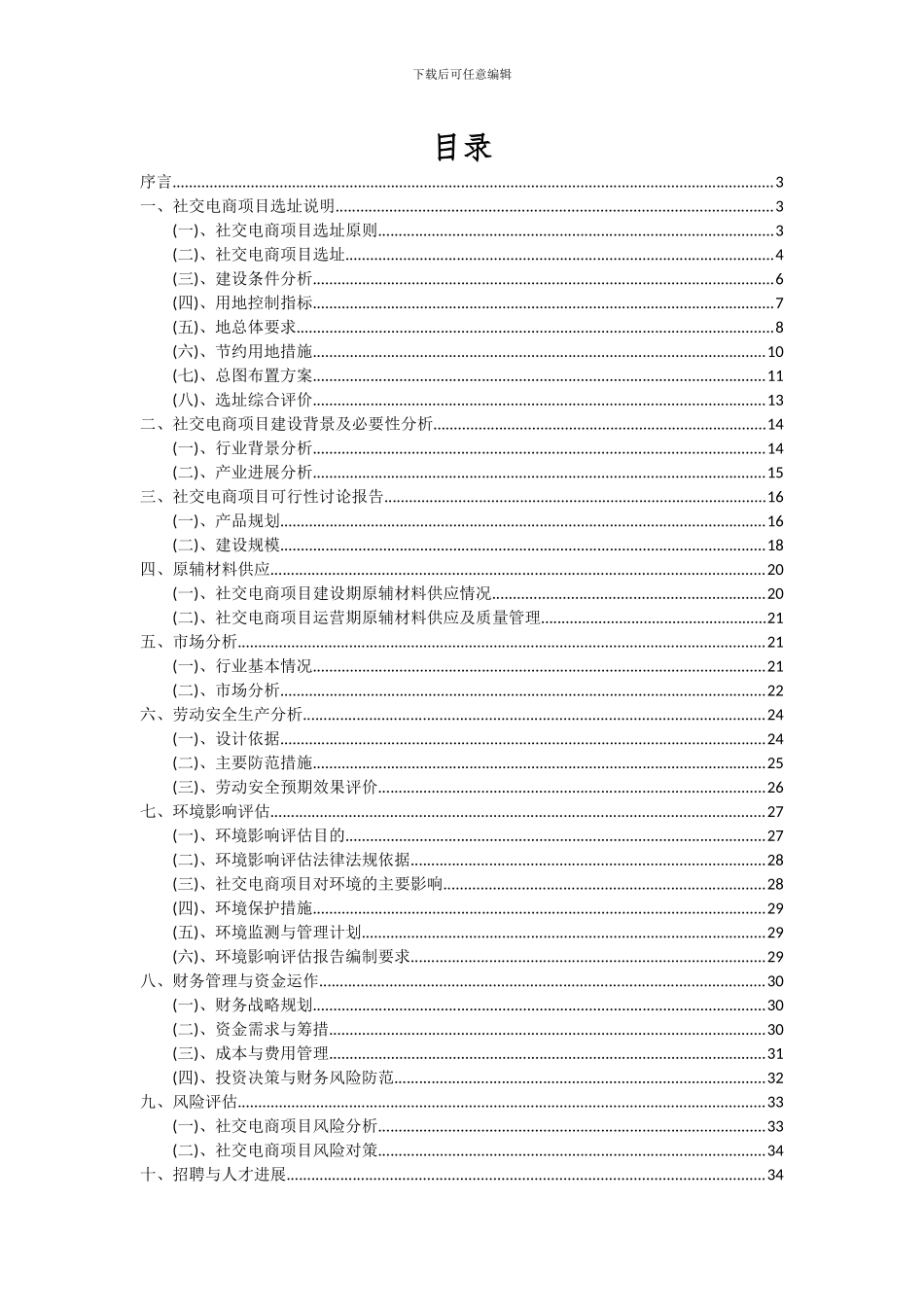 2024年社交电商项目可行性研究报告_第2页
