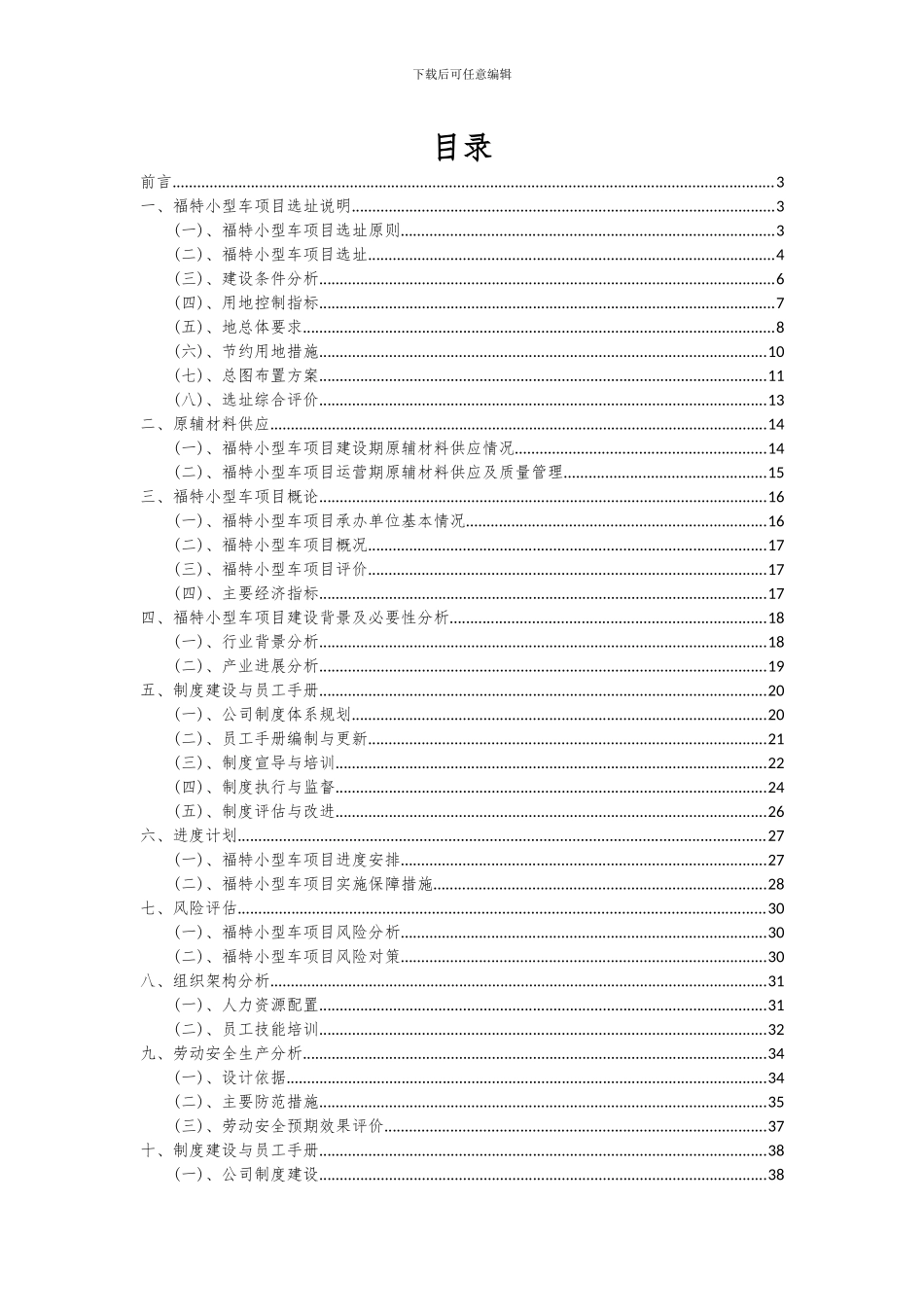 2024年福特小型车项目深度研究分析报告_第2页