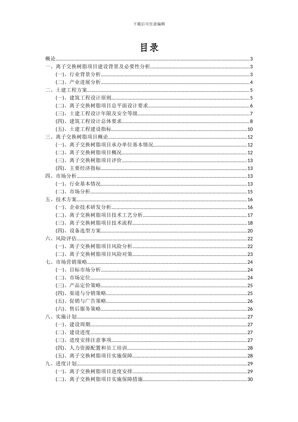 2024年离子交换树脂项目深度研究分析报告_第2页