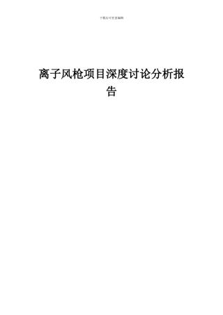 2024年离子风枪项目深度研究分析报告