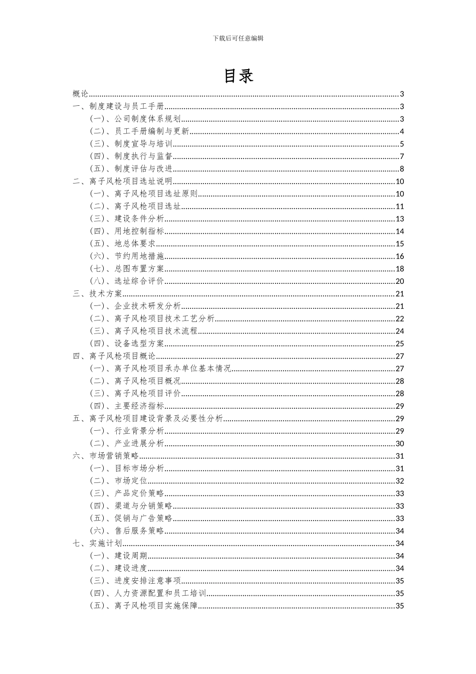 2024年离子风枪项目可行性研究报告_第2页