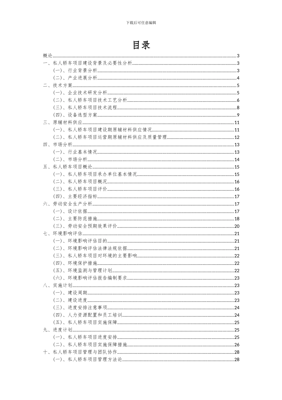 2024年私人轿车项目可行性分析报告_第2页