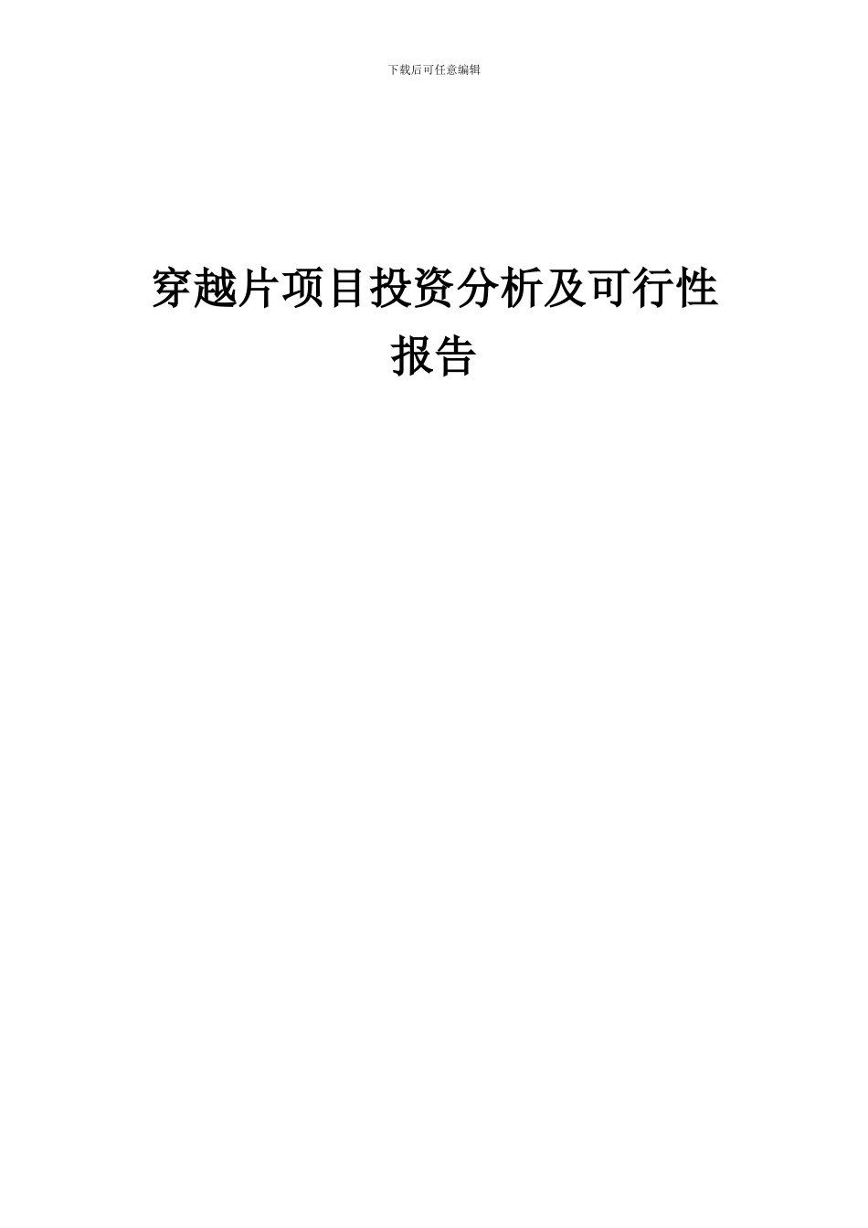 2024年穿越片项目投资分析及可行性报告_第1页
