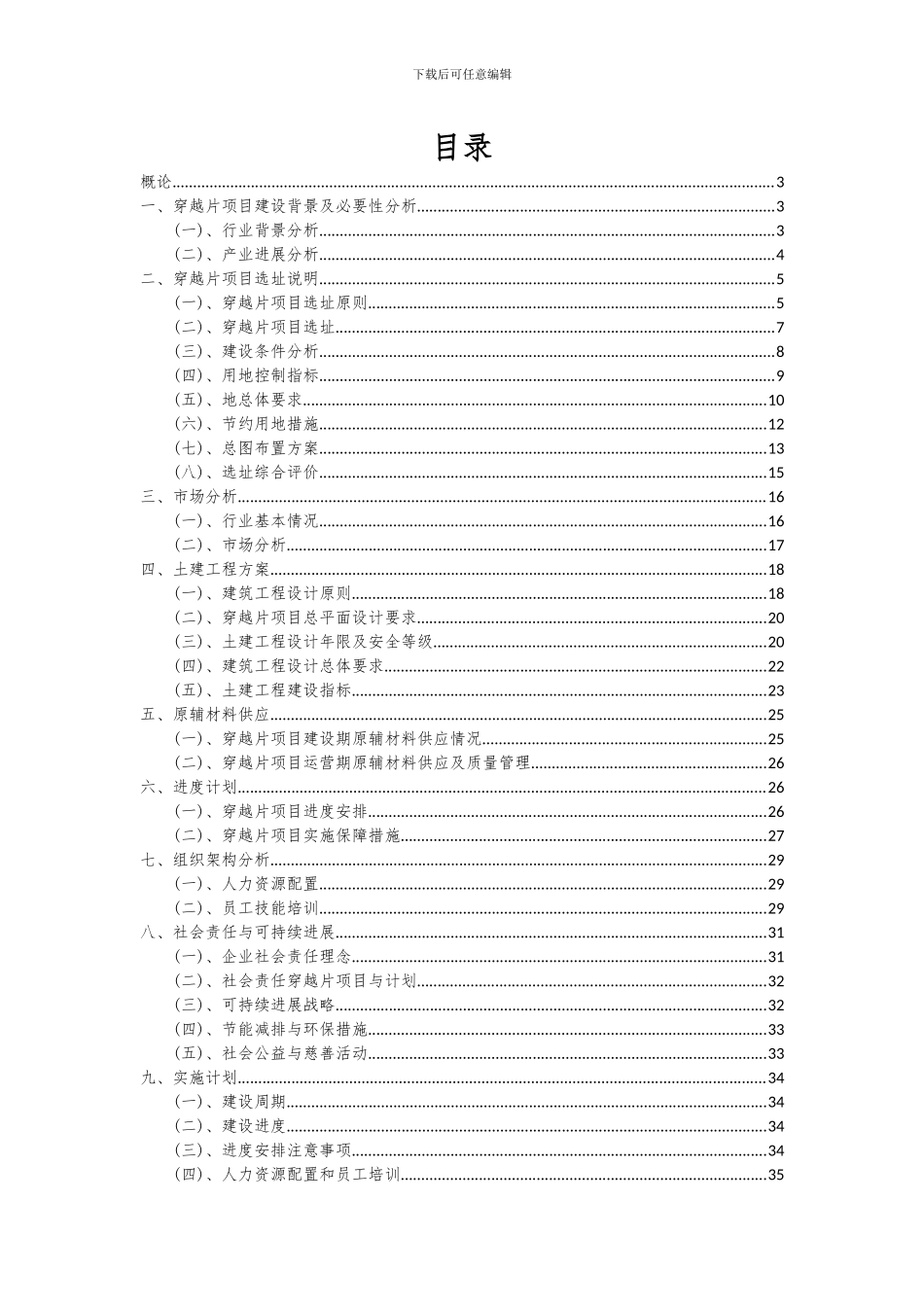 2024年穿越片项目投资分析及可行性报告_第2页