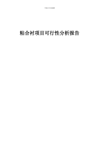 2024年粘合衬项目可行性分析报告