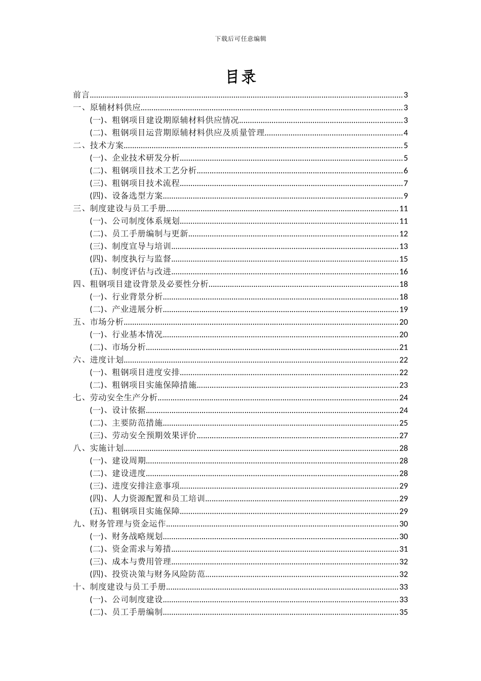 2024年粗钢项目深度研究分析报告_第2页