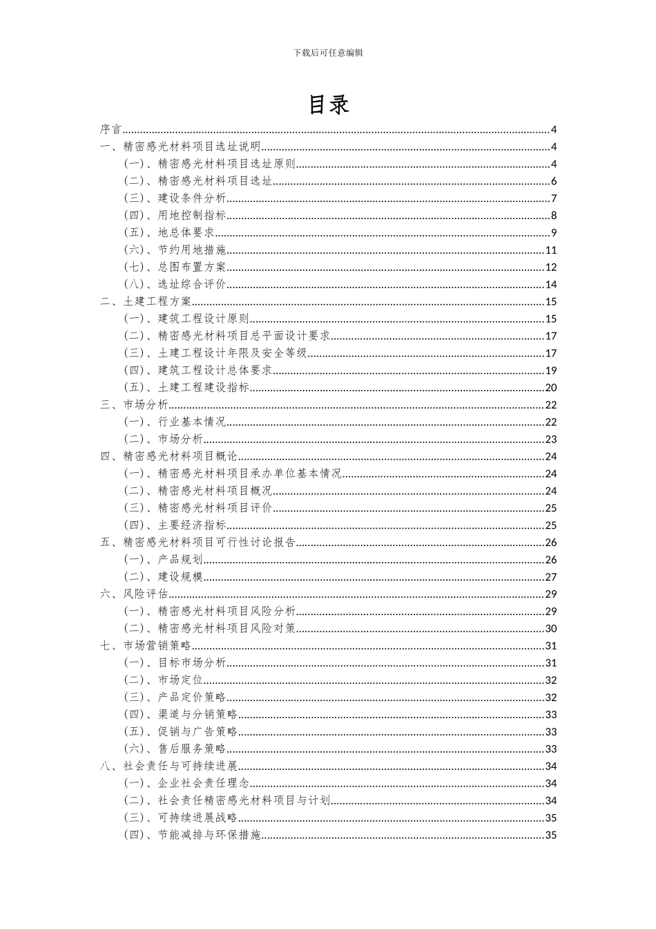 2024年精密感光材料项目可行性分析报告_第2页