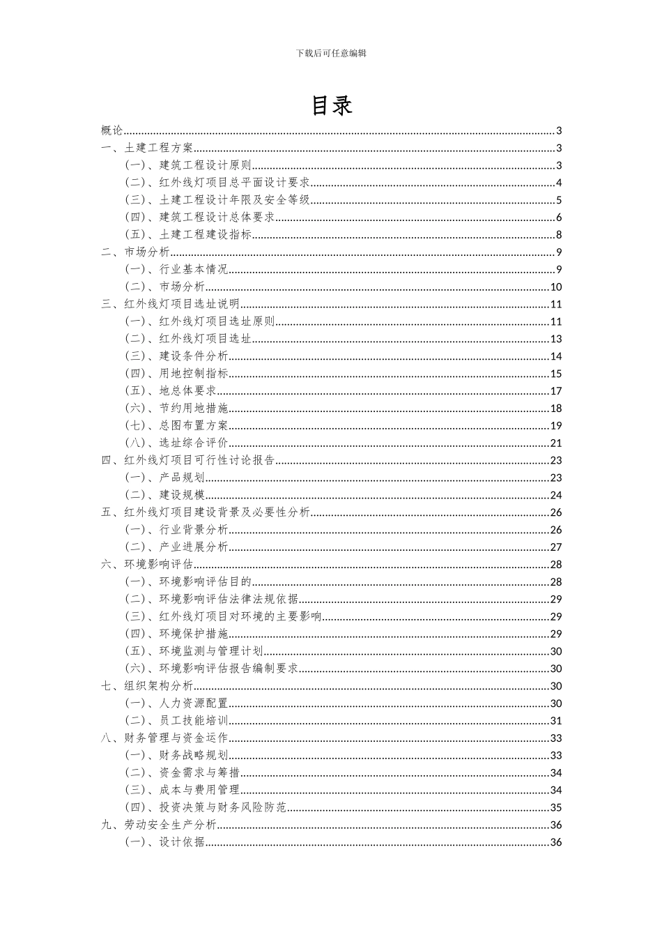 2024年红外线灯项目可行性研究报告_第2页