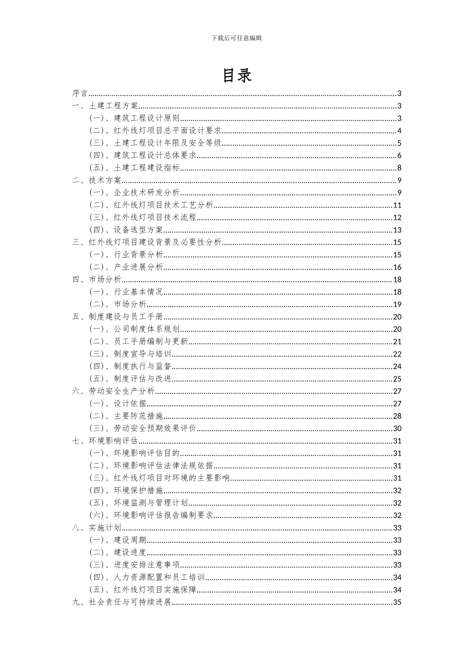 2024年红外线灯项目投资分析及可行性报告_第2页
