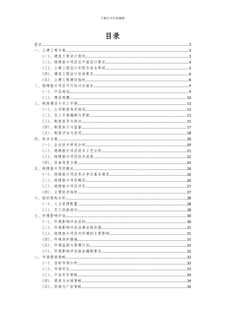 2024年绝缘垫片项目可行性研究报告_第2页