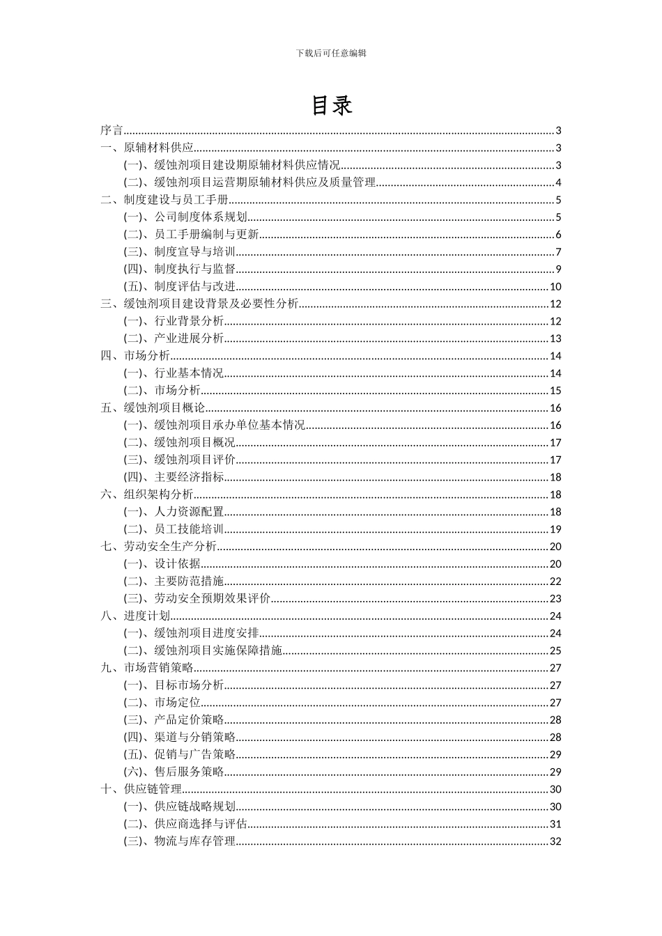 2024年缓蚀剂项目可行性分析报告_第2页
