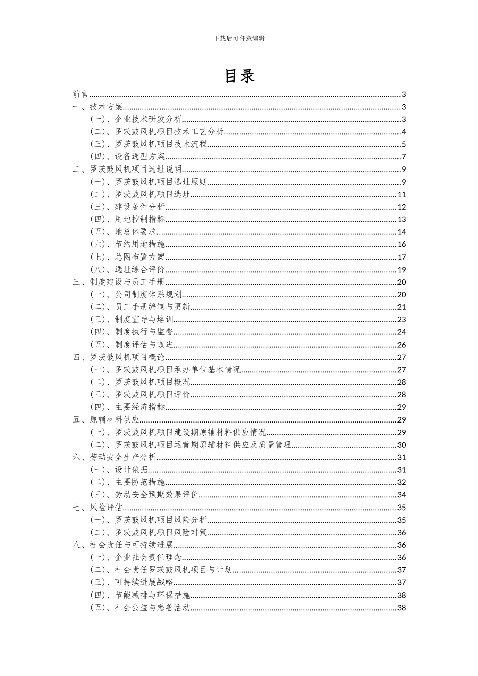 2024年罗茨鼓风机项目投资分析及可行性报告_第2页