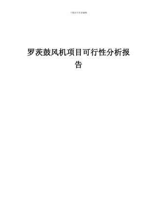 2024年罗茨鼓风机项目可行性分析报告