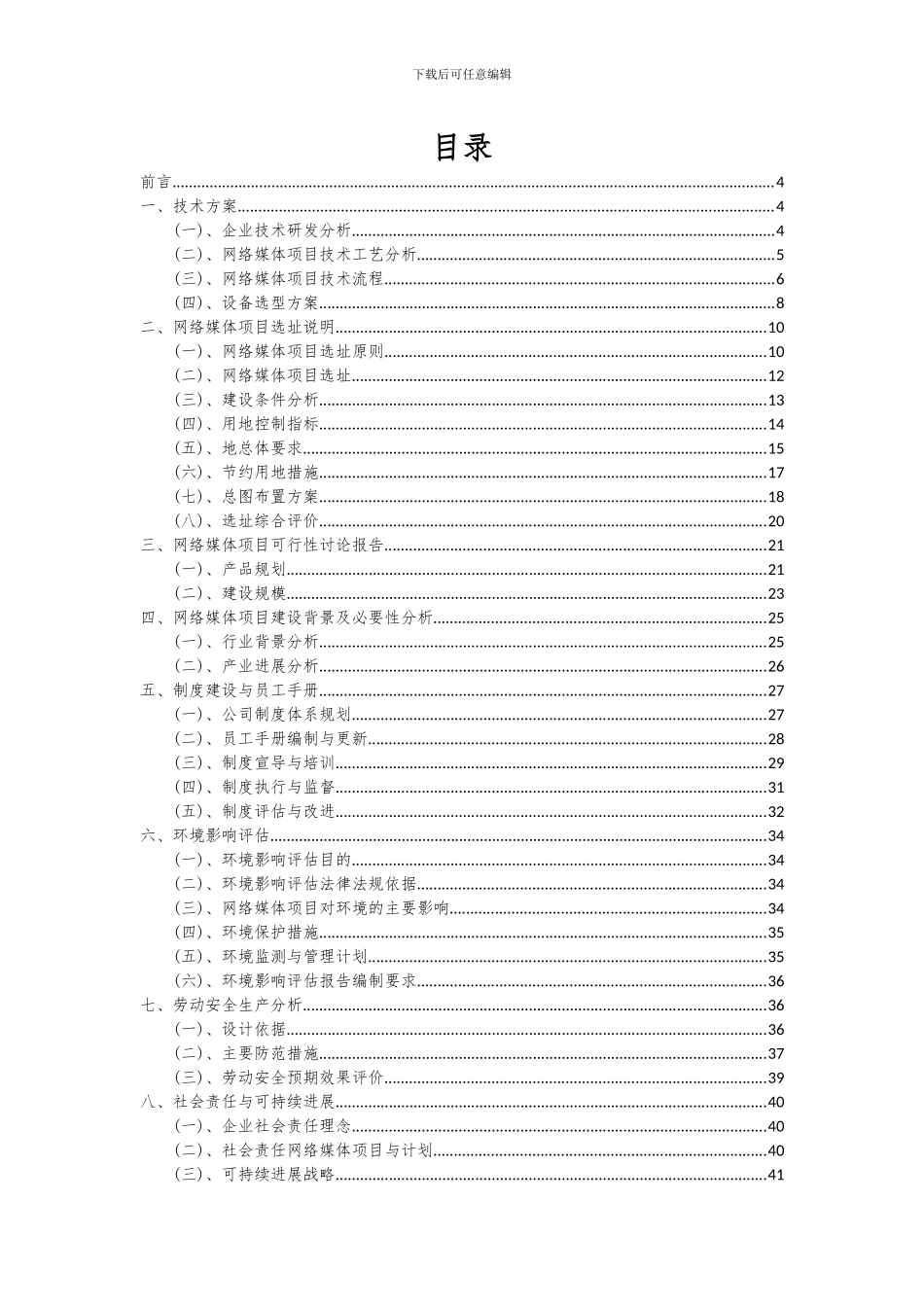 2024年网络媒体项目可行性研究报告_第2页