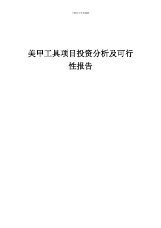 2024年美甲工具项目投资分析及可行性报告