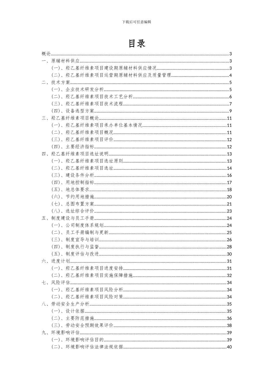 2024年羟乙基纤维素项目投资分析及可行性报告_第2页