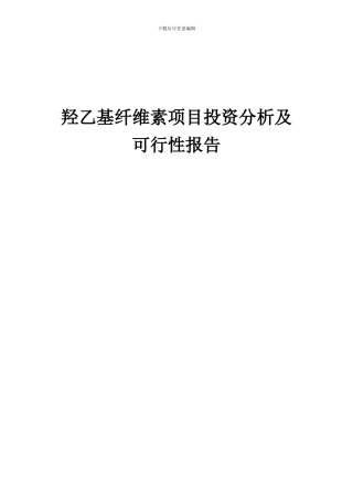 2024年羟乙基纤维素项目投资分析及可行性报告