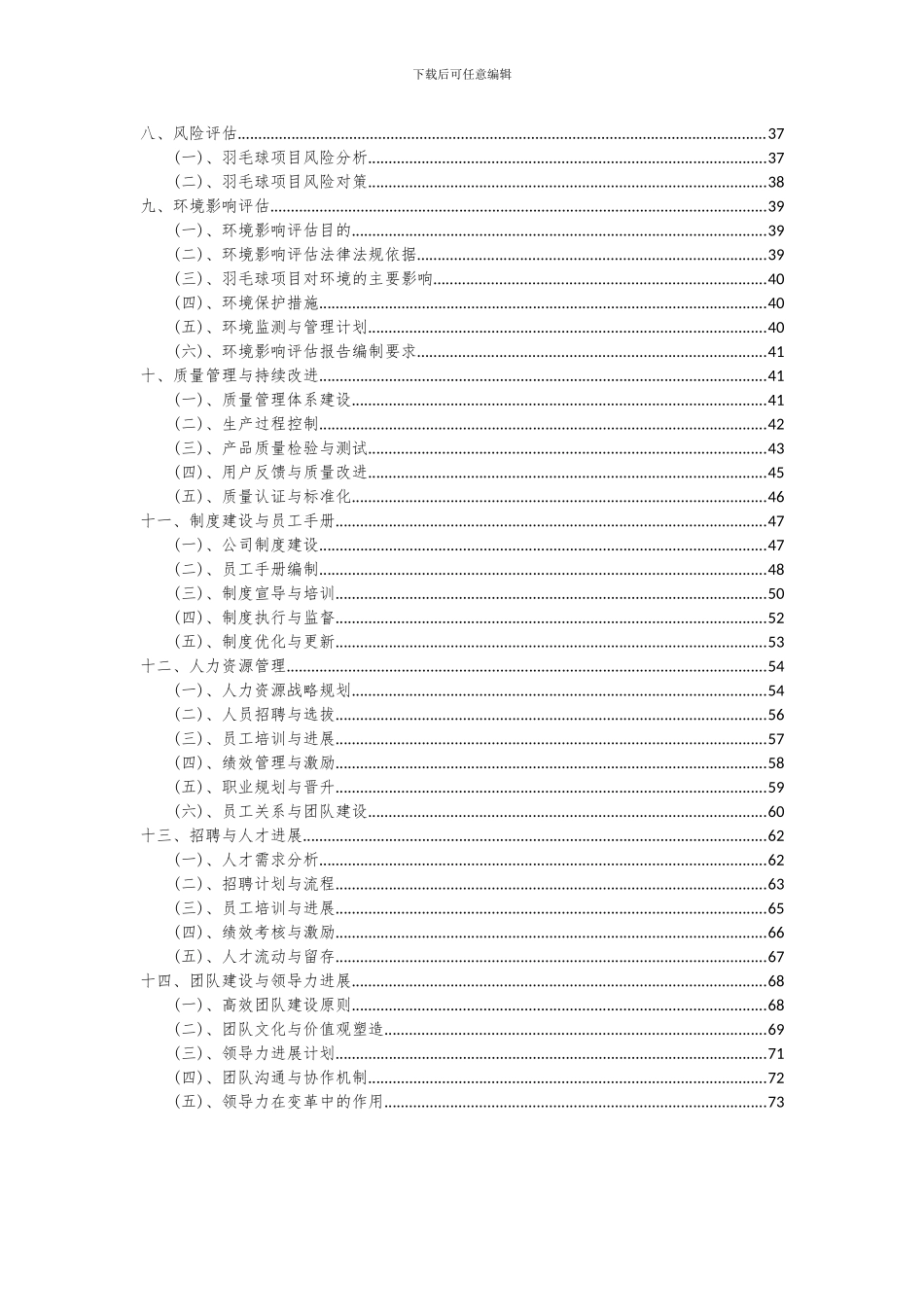2024年羽毛球项目深度研究分析报告_第3页