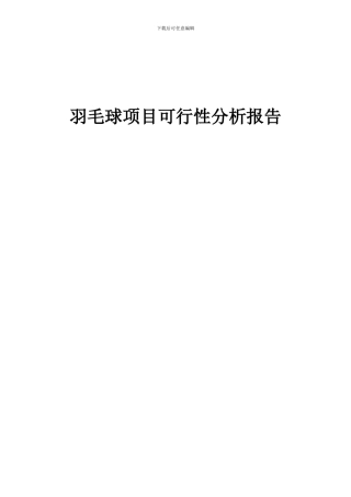 2024年羽毛球项目可行性分析报告