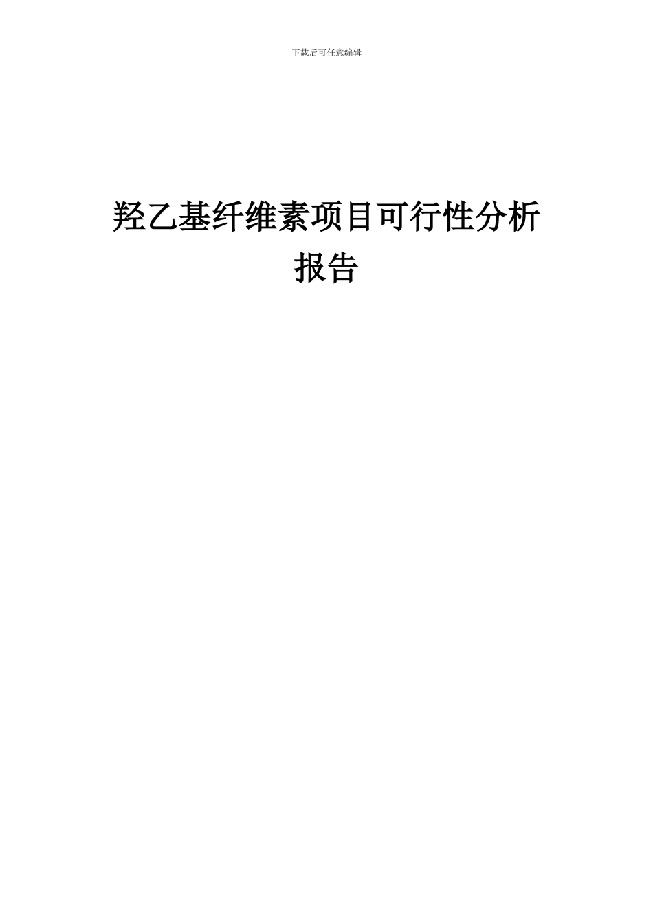 2024年羟乙基纤维素项目可行性分析报告_第1页