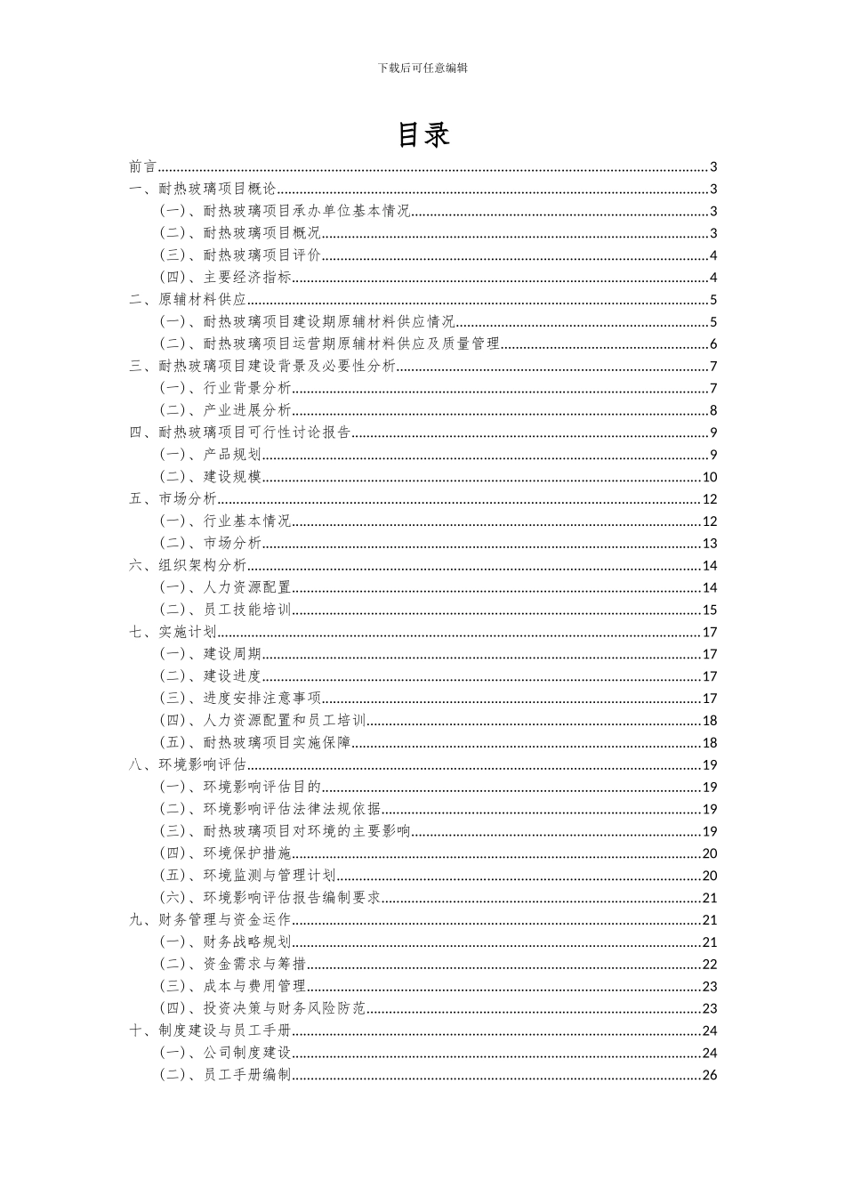 2024年耐热玻璃项目可行性分析报告_第2页