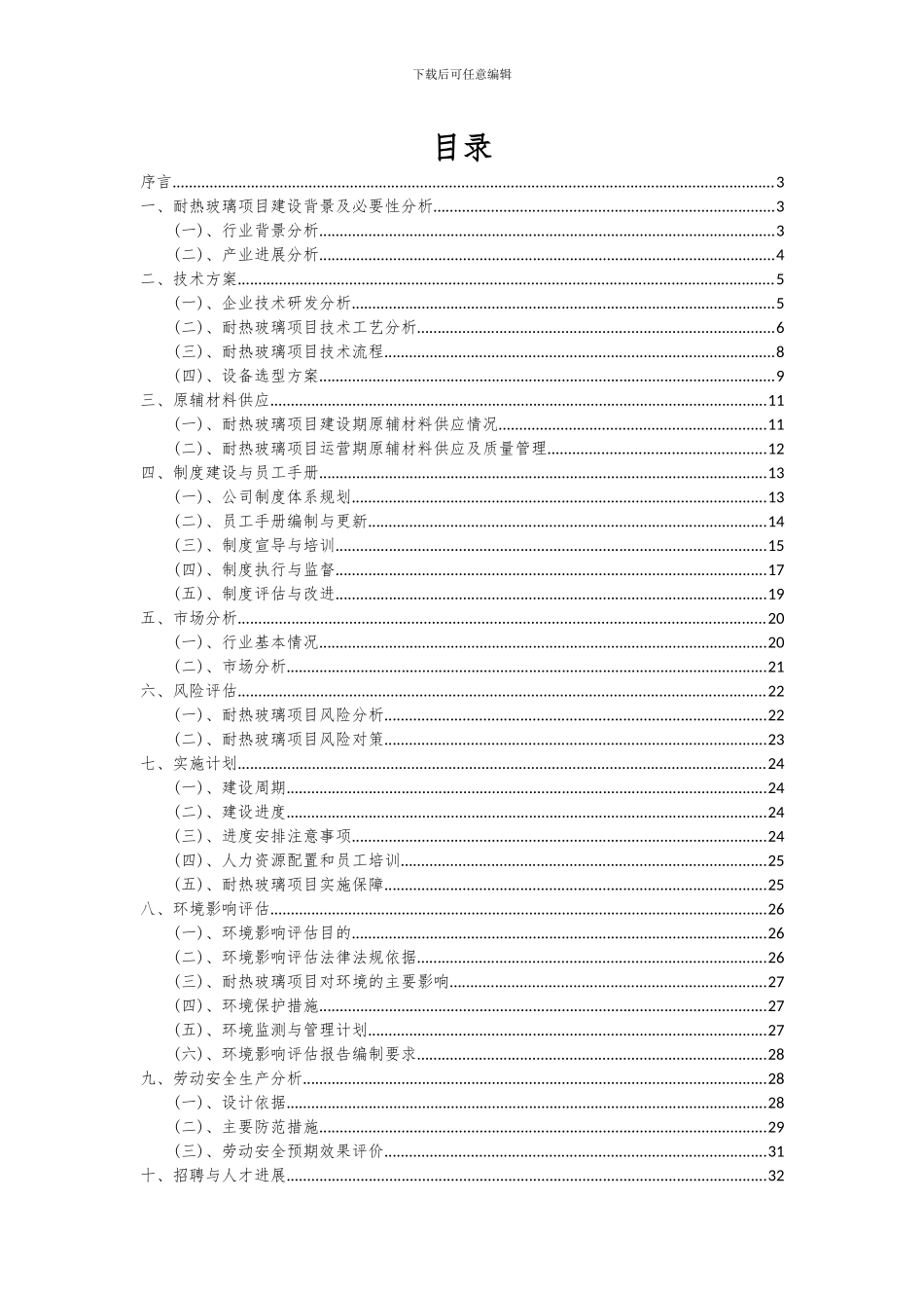 2024年耐热玻璃项目可行性研究报告_第2页