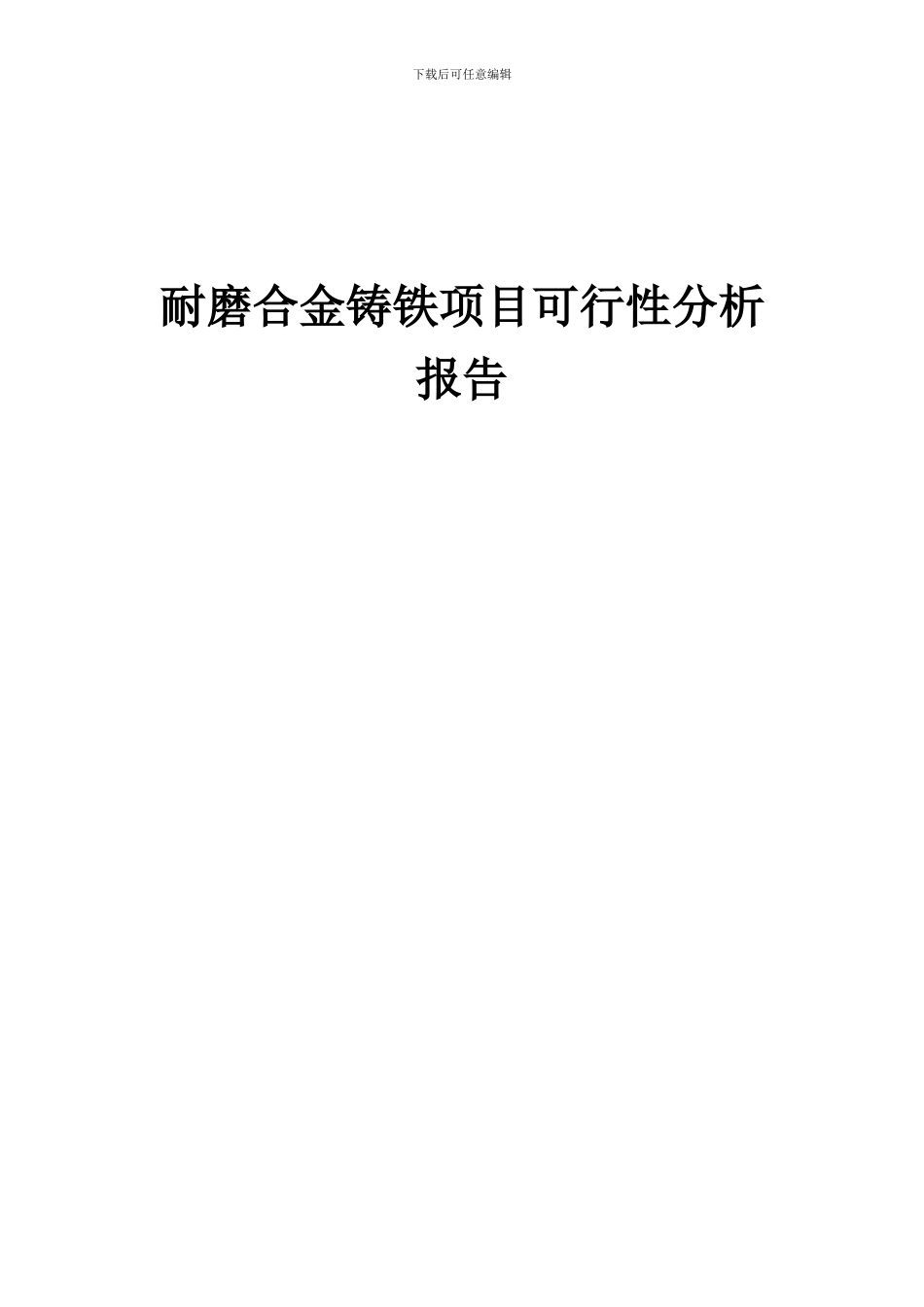 2024年耐磨合金铸铁项目可行性分析报告_第1页