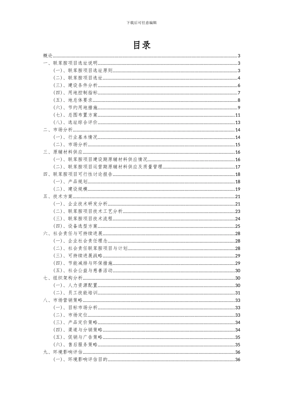 2024年联苯胺项目深度研究分析报告_第2页