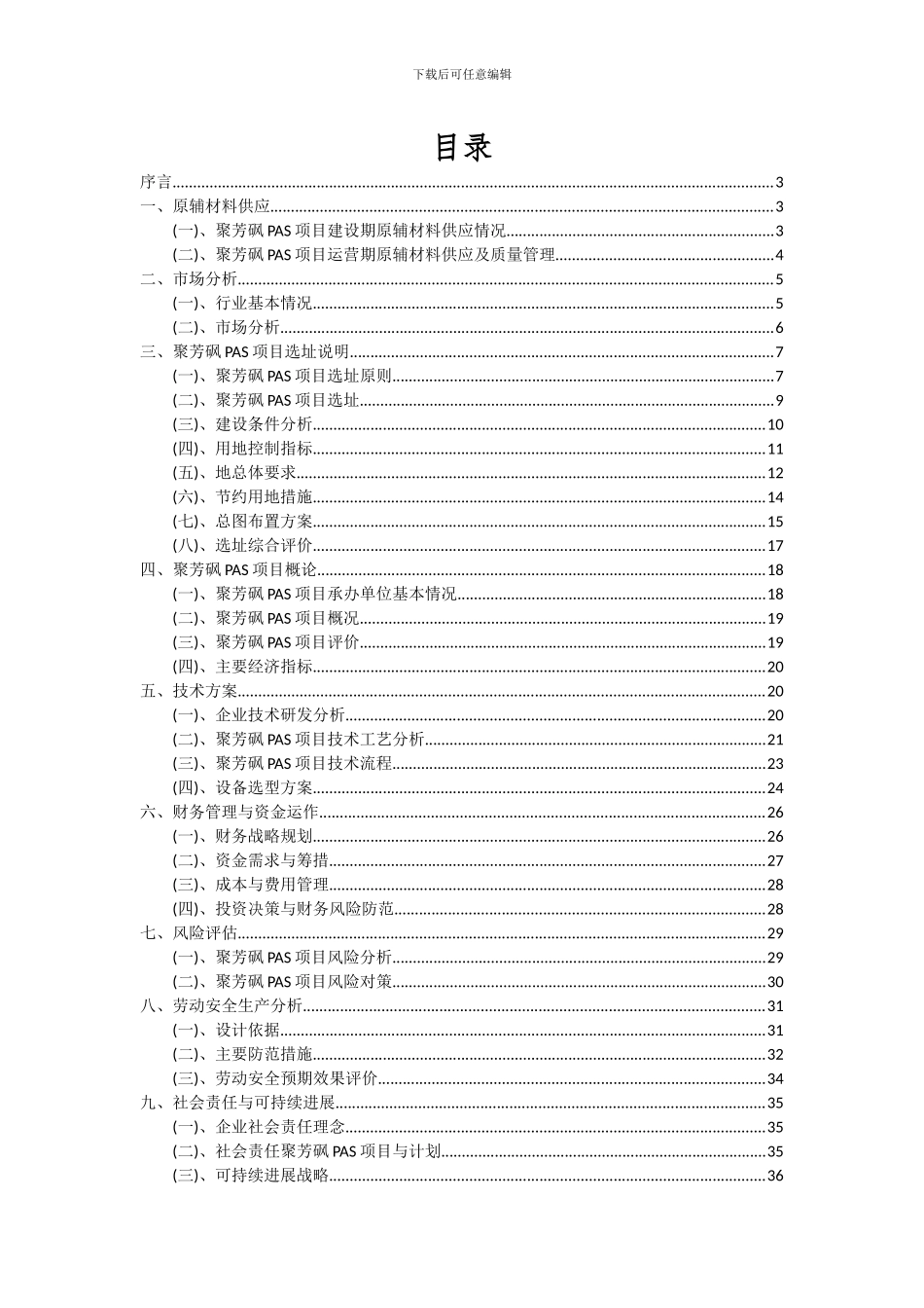 2024年聚芳砜PAS项目可行性分析报告_第2页